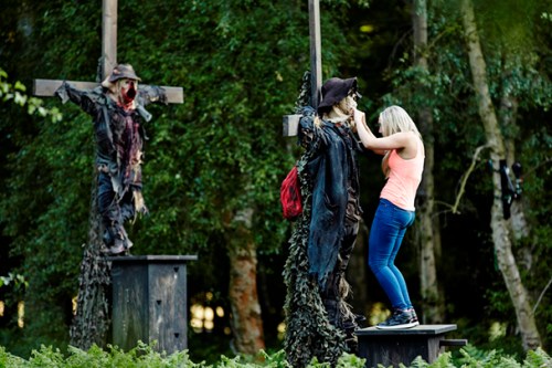 Release the Hounds 3