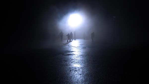 I Survived a Zombie Apocalypse 8