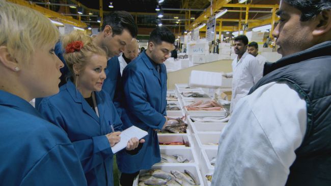 The Apprentice 2015 fish